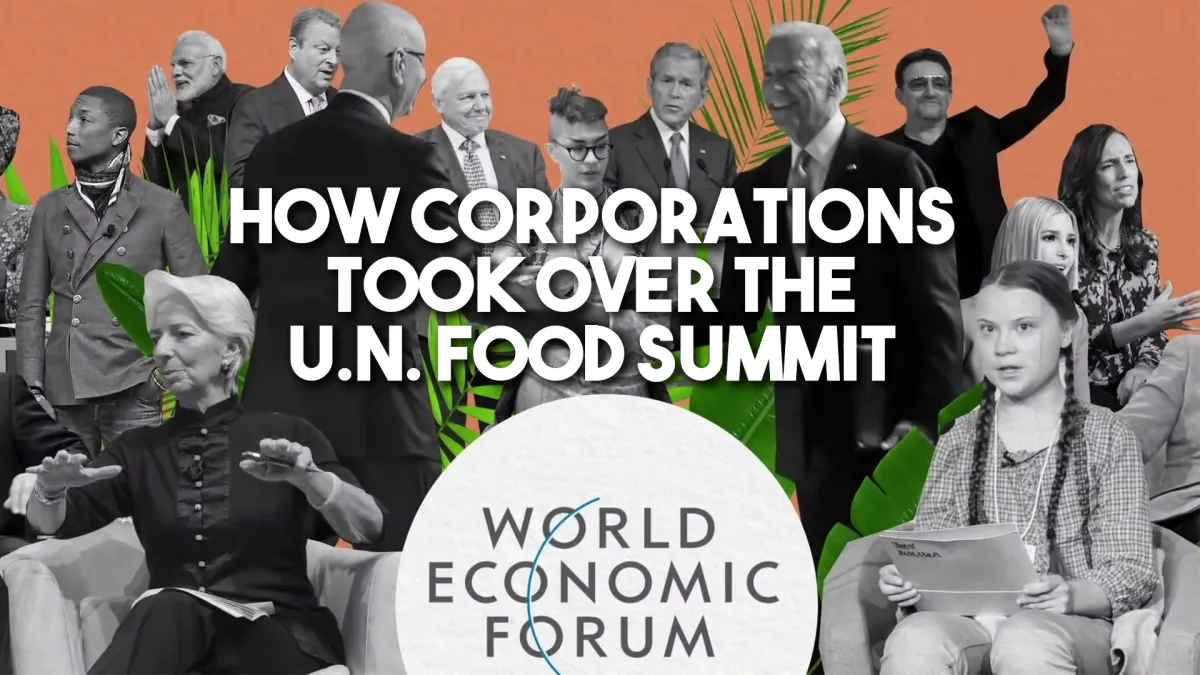 [Vidéo] Comment les grandes entreprises et Bill Gates ont pris le contrôle du sommet alimentaire de l'ONU  abandonnant les petits agriculteurs au profit des grandes entreprises agricoles (The Gray Zone)