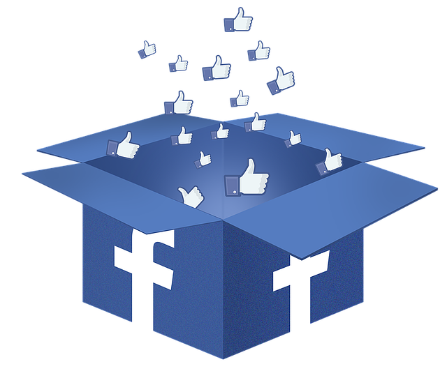 Facebook Global Statistics 2024