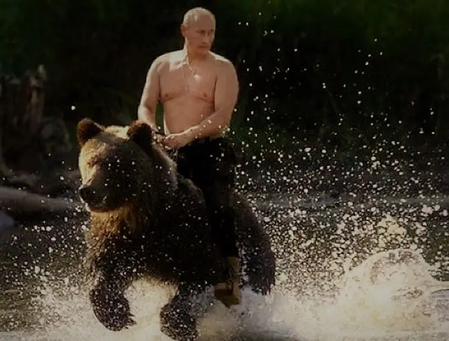 Ukraine : Macron le guerrier ? Un roquet contre un ours !