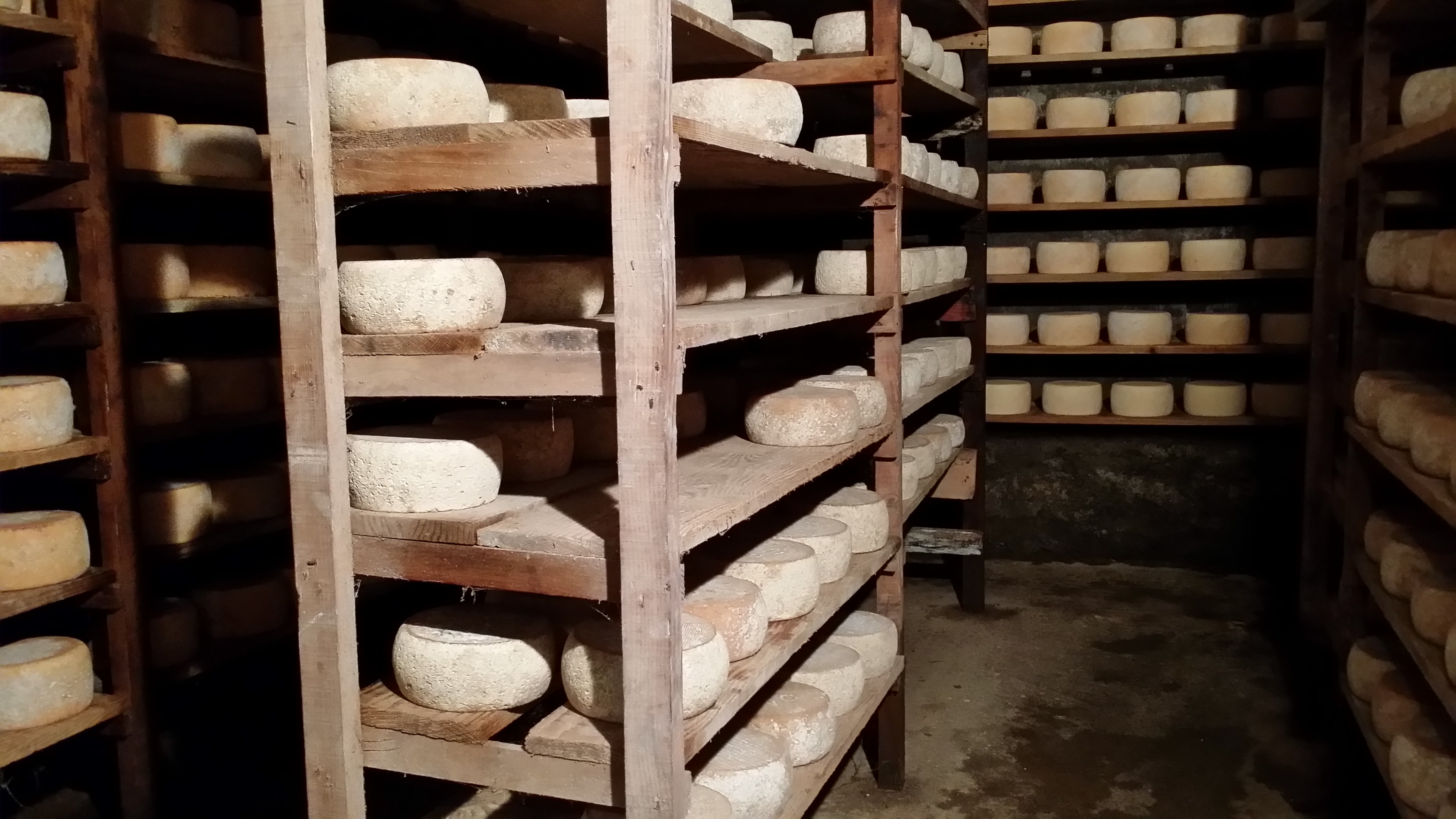 fromage_pyrenees_tomme_luchon_fromagerie_poubeau