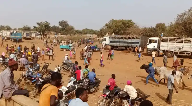 Les acheteurs de bétail de la ville de Fada