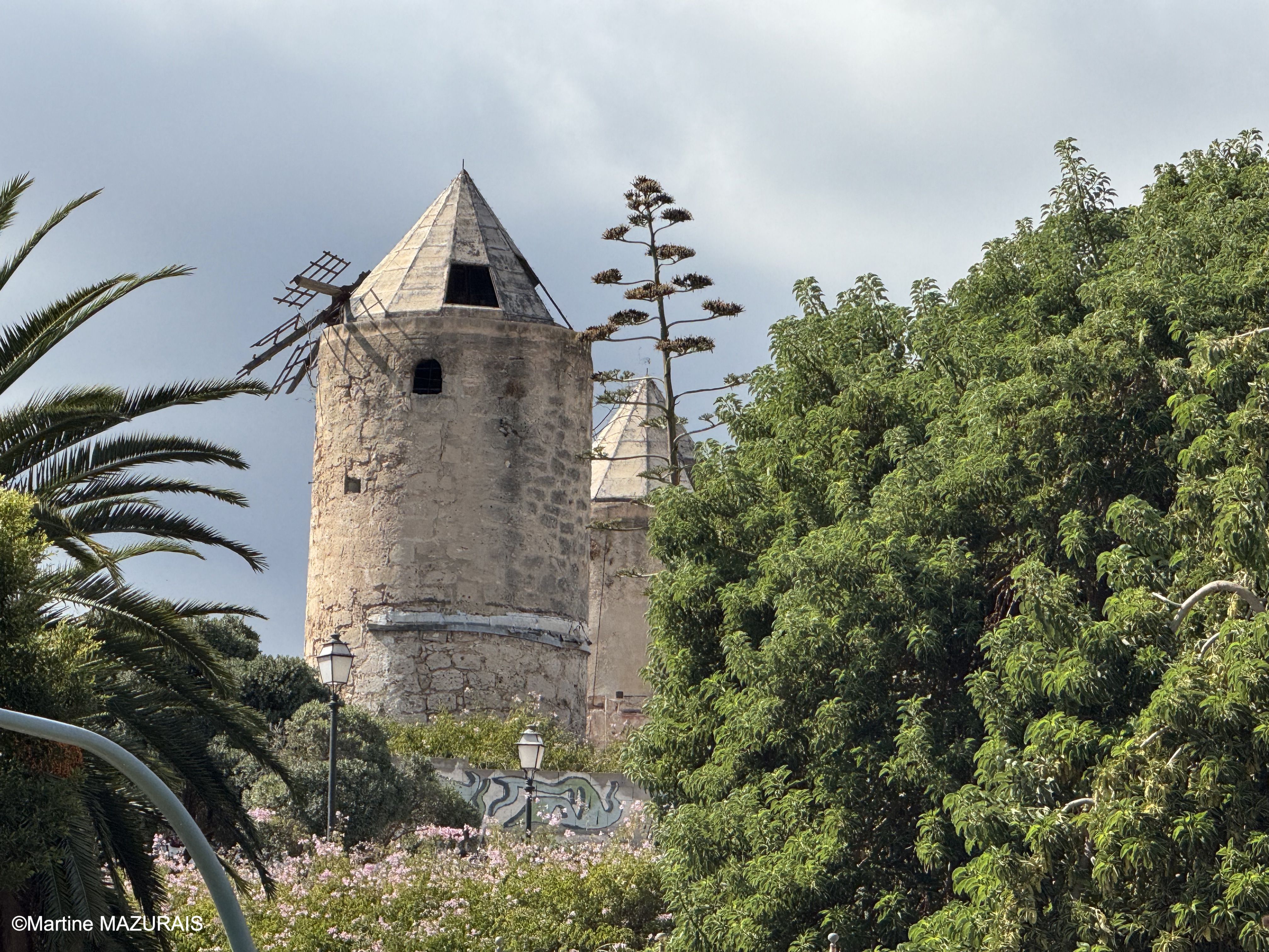 Palma Moulins d'Es Jonquet