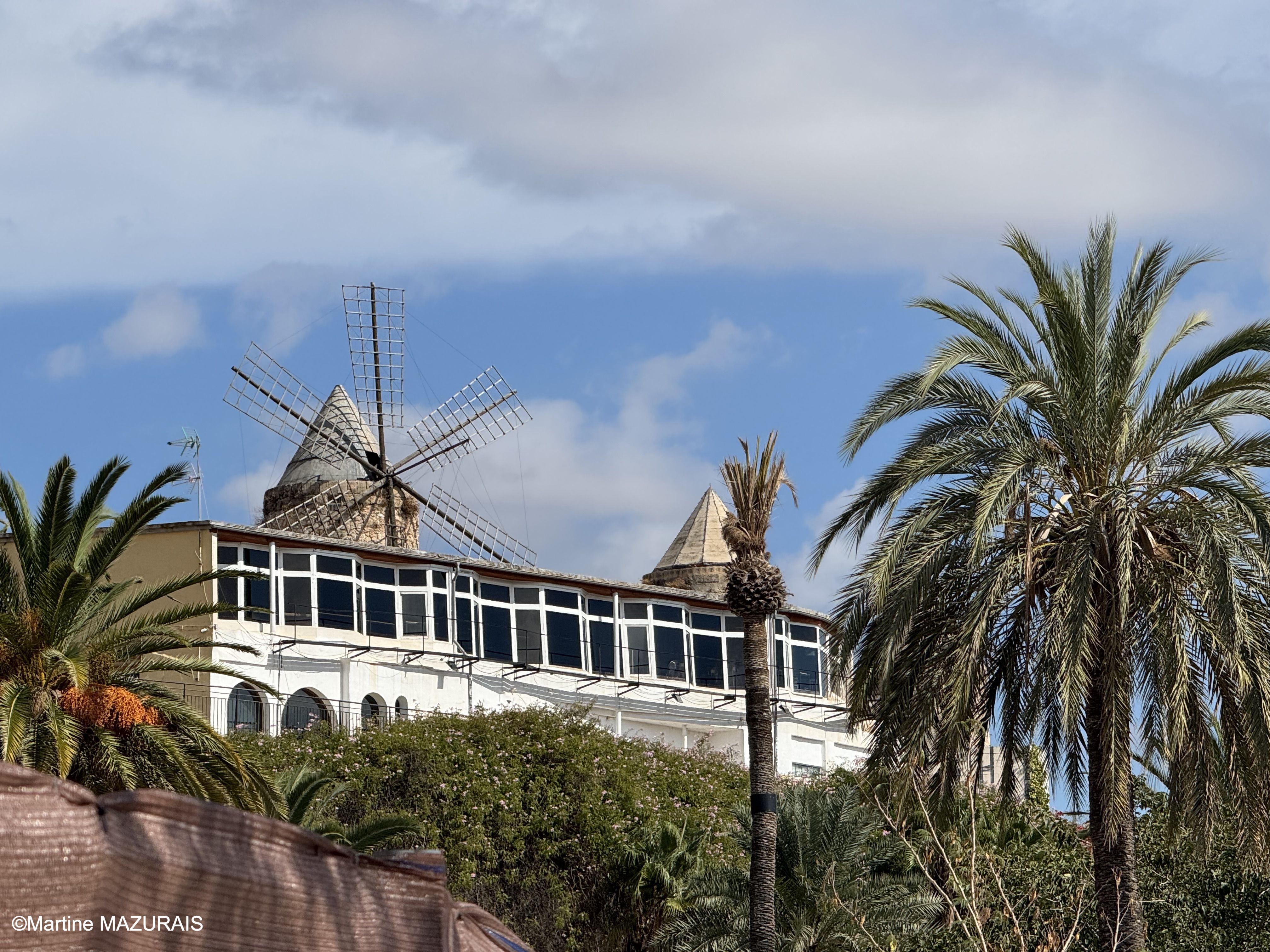 Palma Moulins d'Es Jonquet